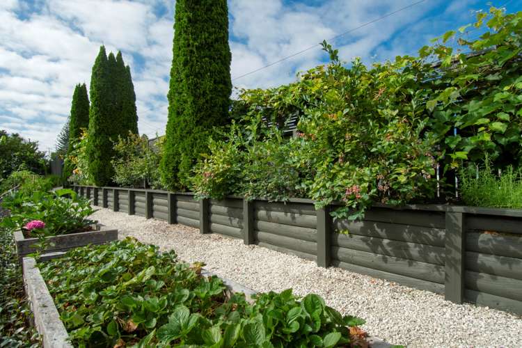 153 Bellevue Road Bellevue_19