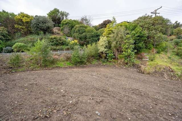 6 Bisley Avenue Tahunanui_4
