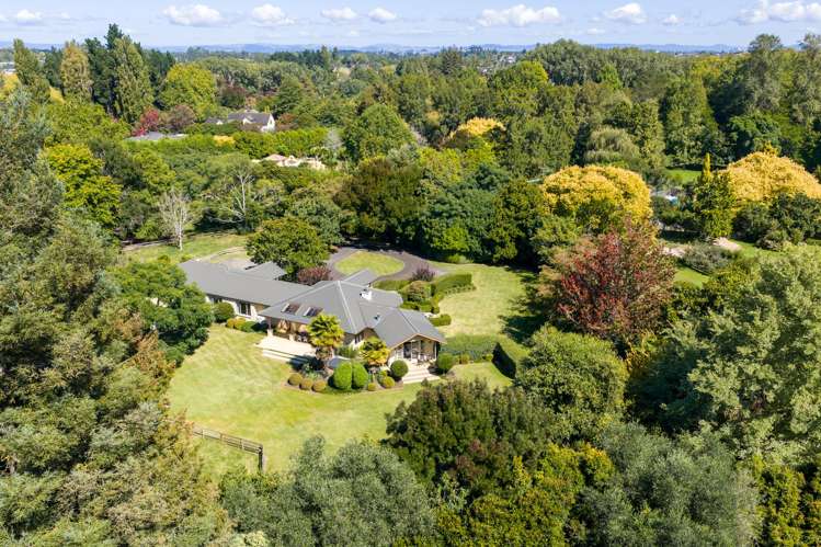 47A Poplar Lane Matangi_0