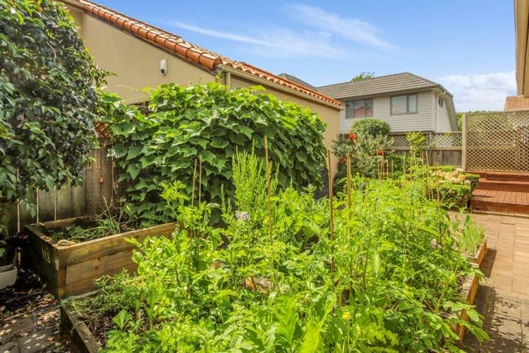 6 Jefferson Street Glendowie_17