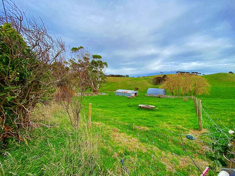 443 Makino Road Feilding_11