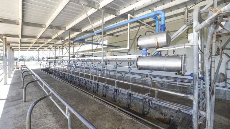 162 Hamua Hukanui Road Eketahuna_5