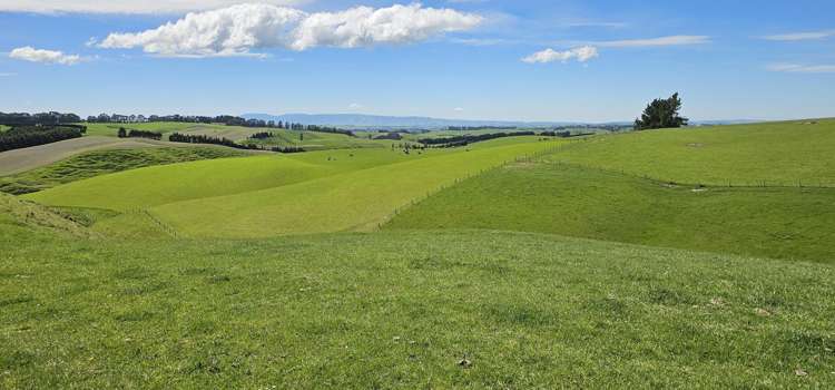 406 Byars Road Chatton North_13