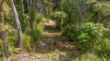 252 Piha Road_1