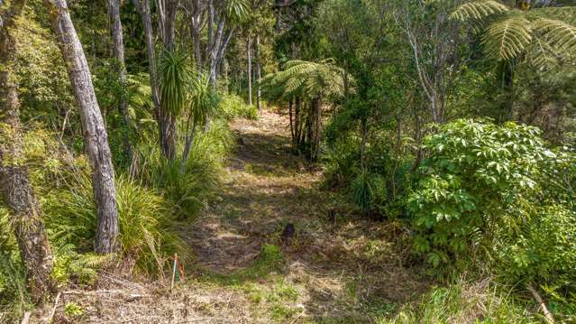 252 Piha Road Piha_1