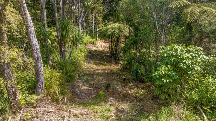 252 Piha Road Piha_8