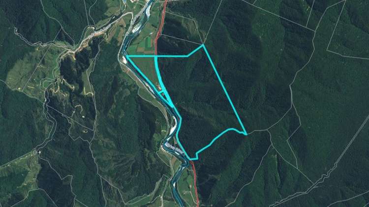 2314 Shenandoah Highway Murchison_72