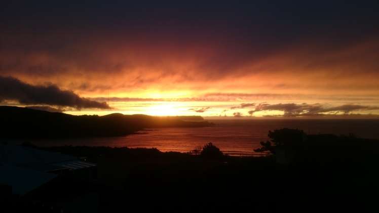 13a Walker Avenue Paremata_21