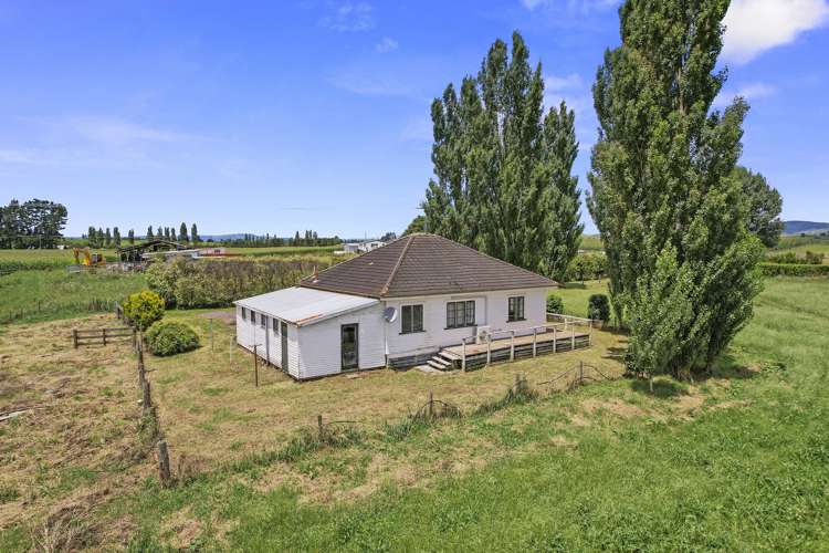 395 Kiwitahi Railway Road Morrinsville_9