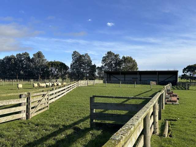 748 Makarewa Browns Road Ryal Bush_2