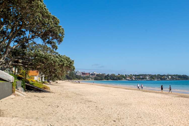 19a William Street Takapuna_12