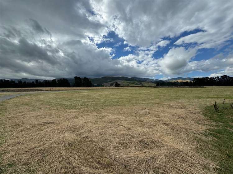 393 Kowai Road Springfield_18