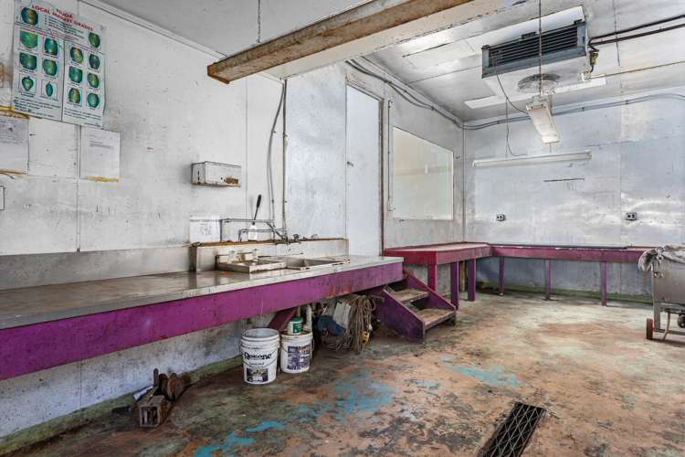 1B Luxton Road Awakeri_14