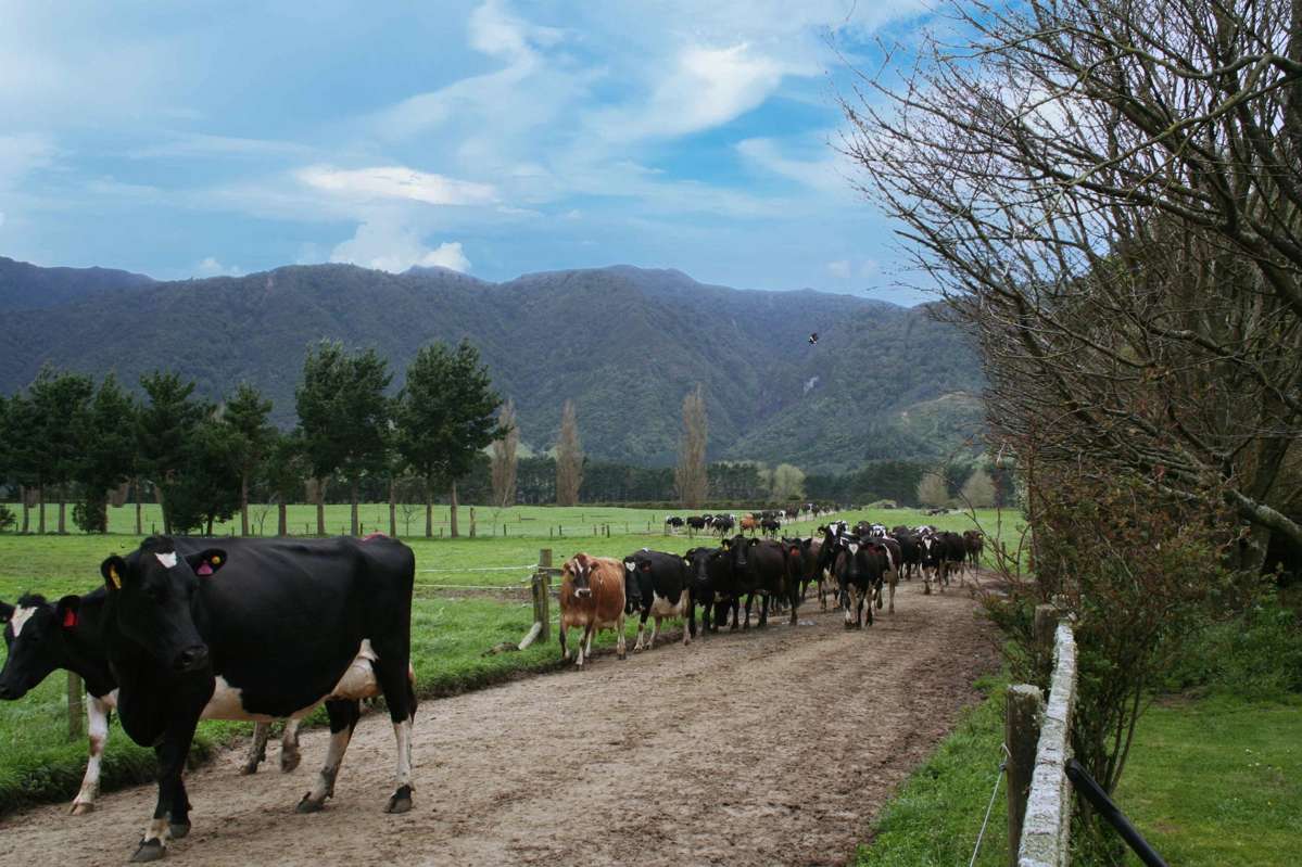 12/1212A Tower Road_3