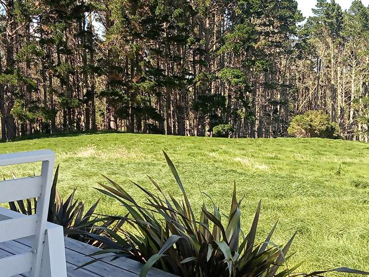 6 Gumtree Way Kaiwaka_17