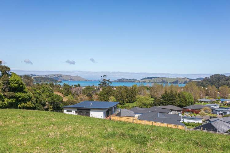 1 Albert Street Coromandel_7