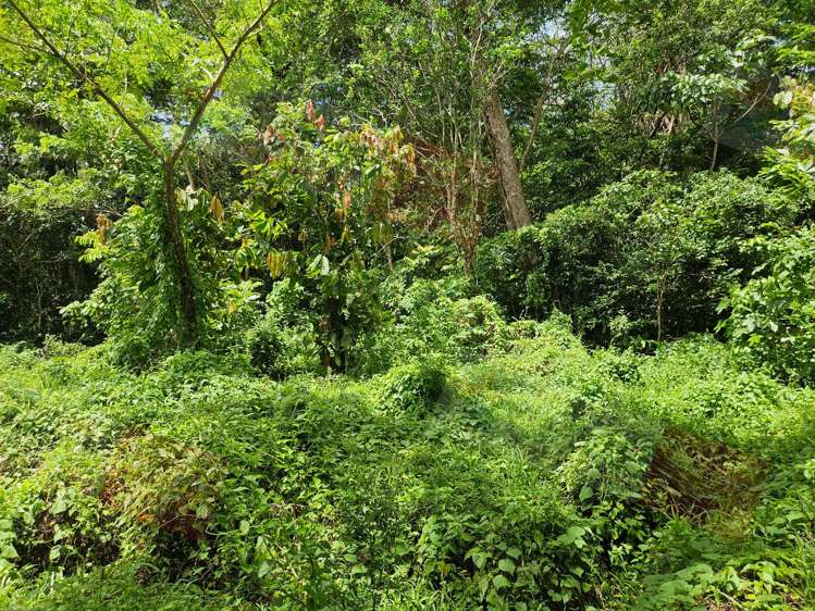 Address withheld Dreketi_18