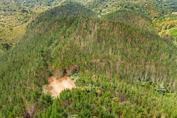 15 Waiparera Road Parua Bay_27