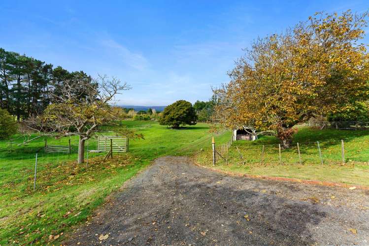 46 Te Horo Beach Road Te Horo_19