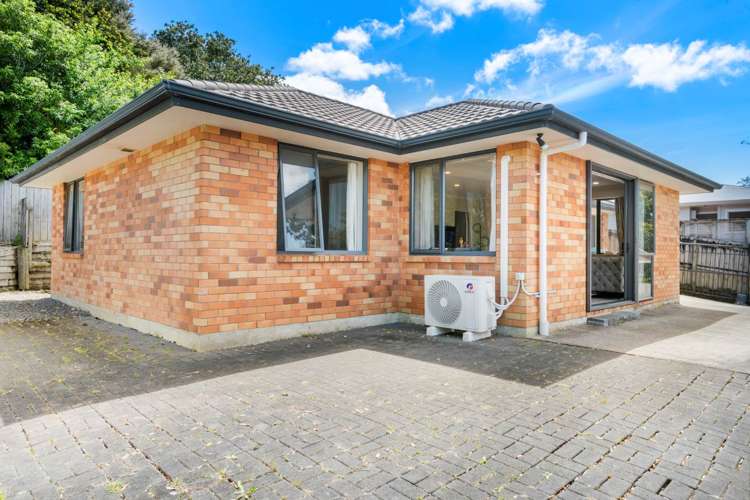 73a Marlborough Avenue Glenfield_8