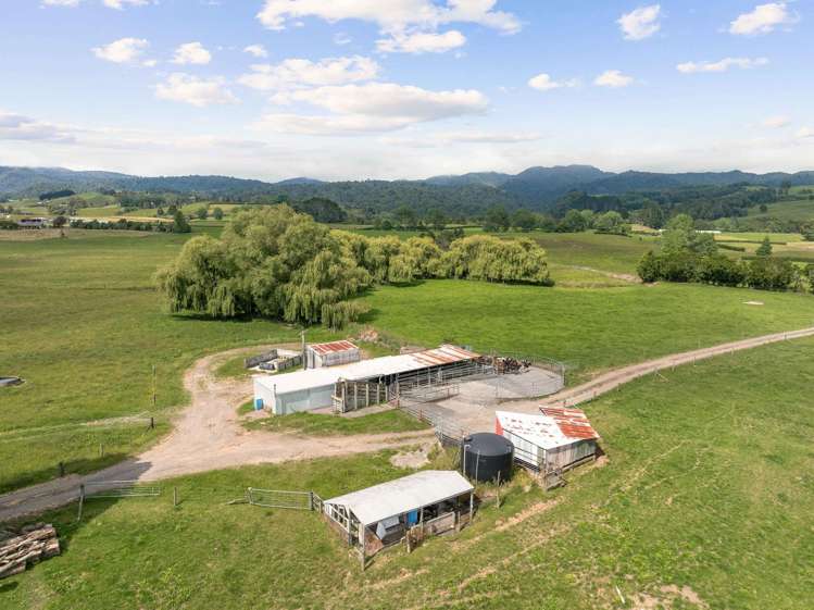 50 Franklin Road Waihi_18