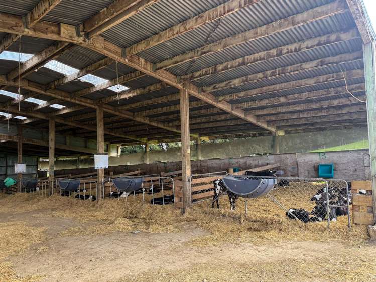 316 McDonald Road Pukerau_2