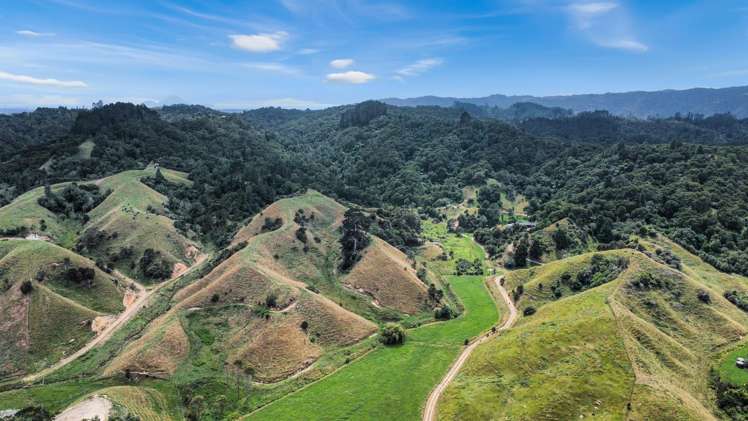 791B White Pine Bush Road Awakeri_40