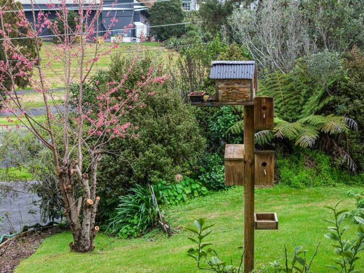 630 Whangaparoa Road Stanmore Bay_22