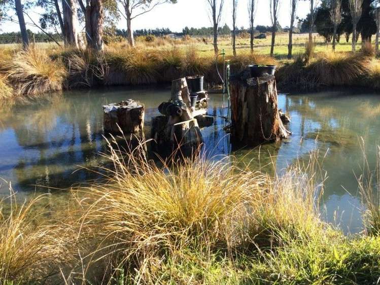 137 Pearces Road West Melton_7