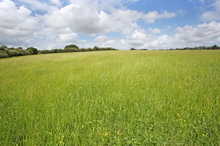 2 Dromgools Road Tuakau_5