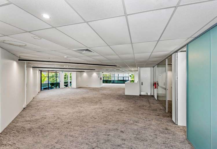 19 Edwin Street Mt Eden_5