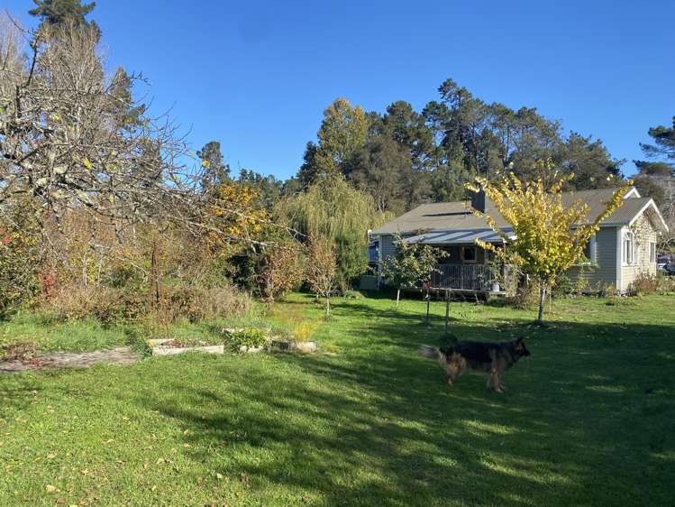 1397 Dovedale Road Thorpe_2