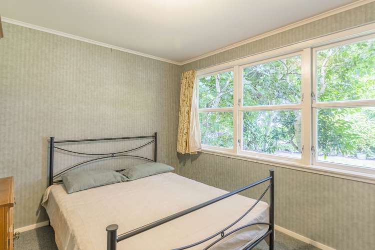 31 Holyoake Crescent Avalon_15