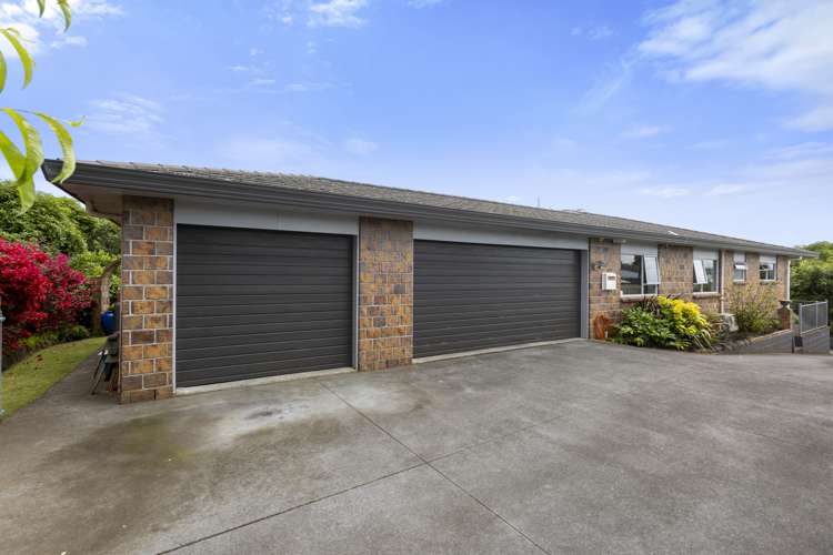 10 Hursthouse Street Vogeltown_21