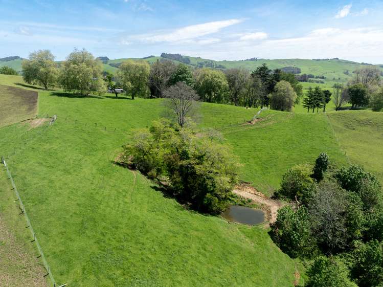 835 Buckland Road Karapiro_19