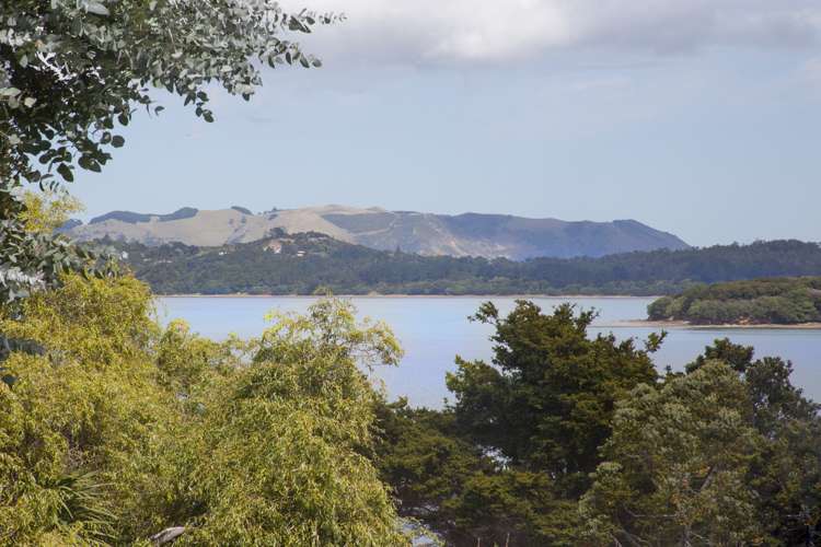 89 Kauri Point Road Laingholm_9