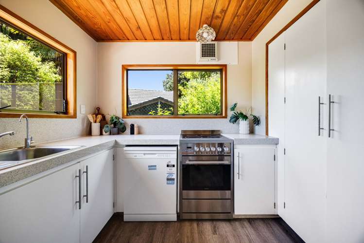 163 Browns Bay Road Browns Bay_11