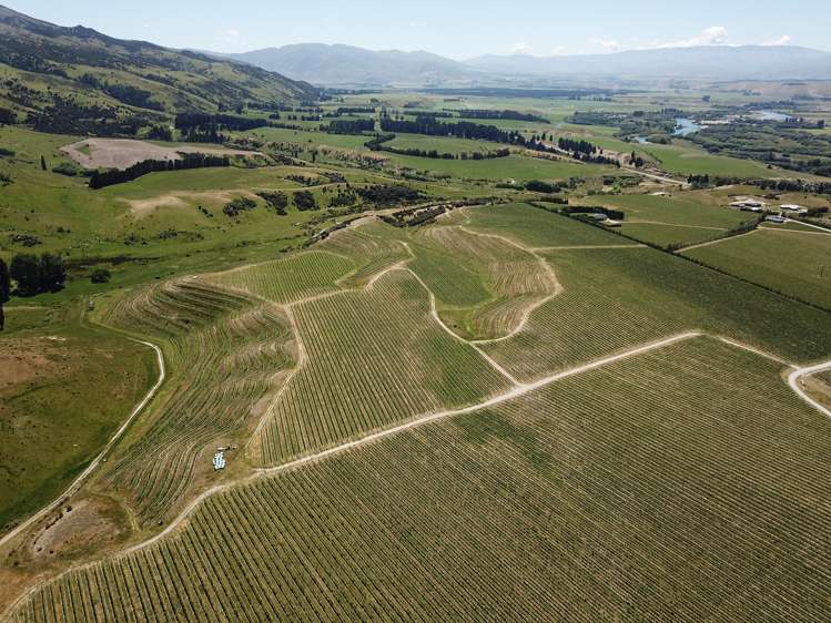 Luggate-Cromwell Road Queensberry_8