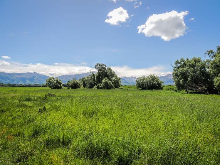 Hamilton Road Fairlie_16