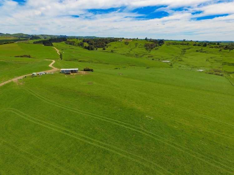 103a Ginn Road Huntly_12