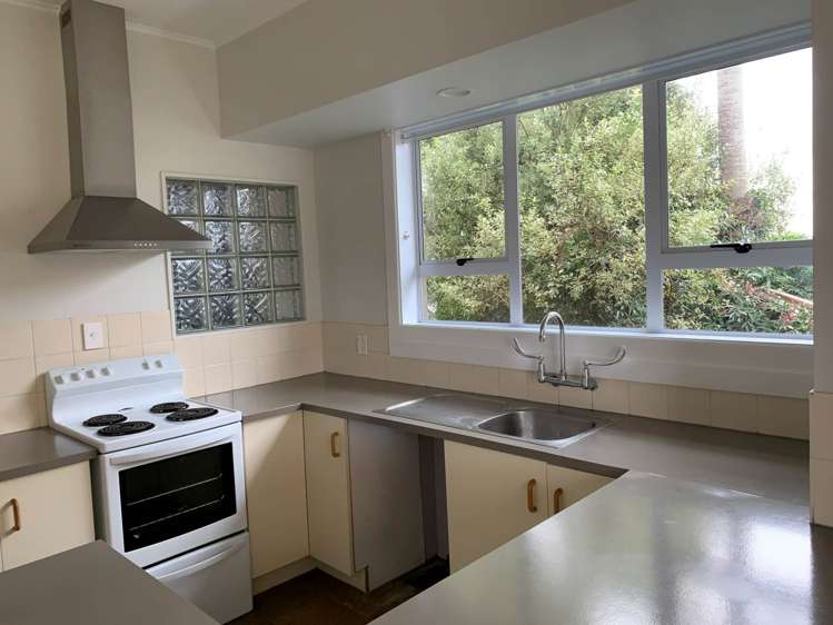 21b Horotutu Road Greenlane_3