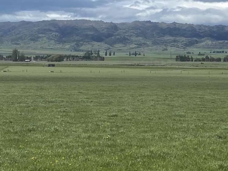 224 Auripo Road Poolburn_5