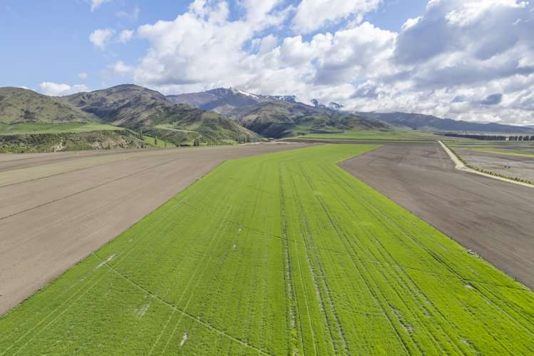 Waikerikeri Valley Road Alexandra_8