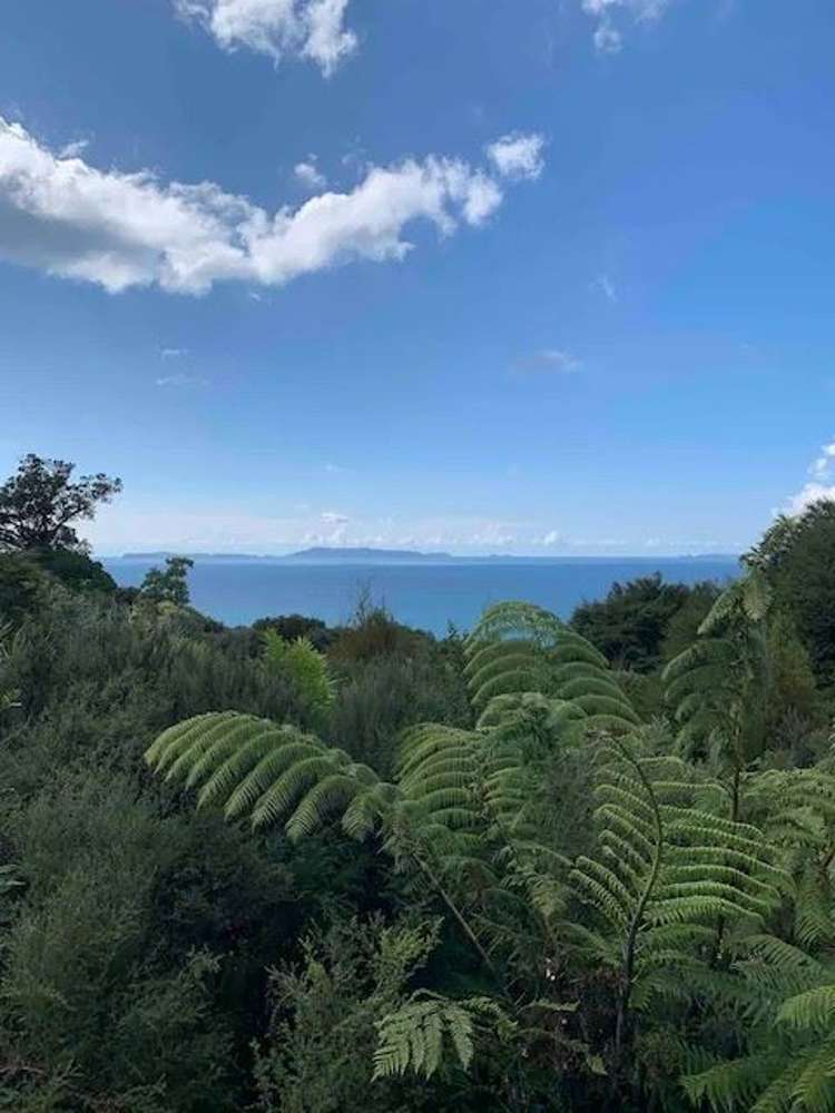 56 Waihirere Drive Coromandel_16