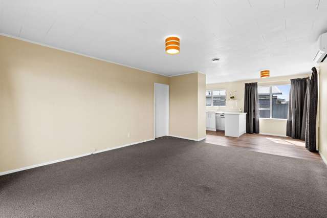 5 Sutherland Street Tamatea_4