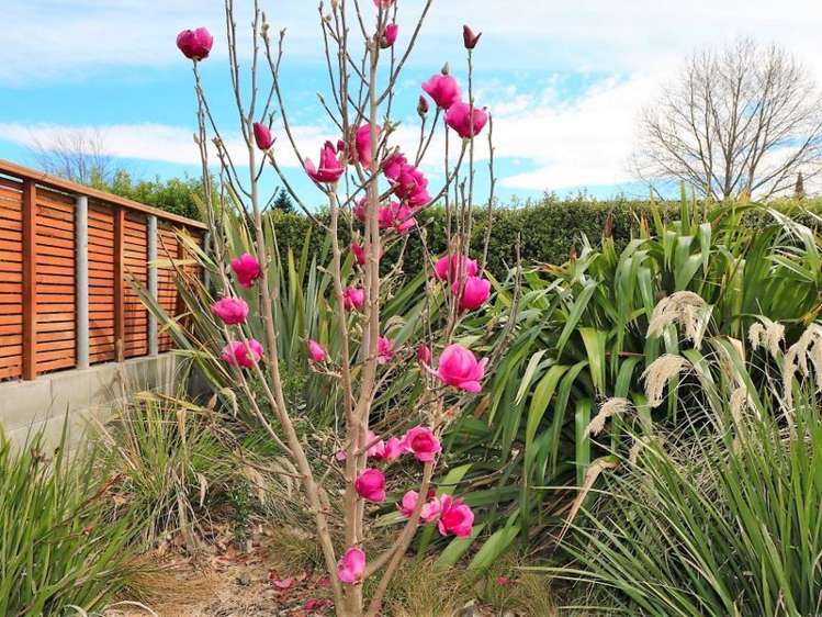 35 William Wong Place Carterton_27