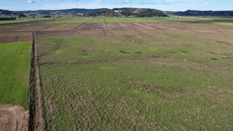 224 Rushbrook Road Ruatangata_10