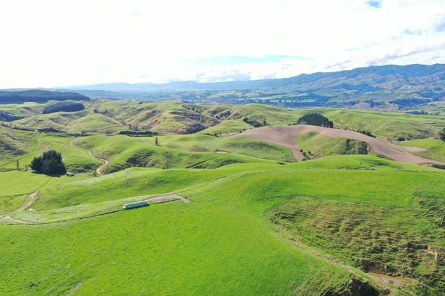 810 Spur Road Ashhurst_2