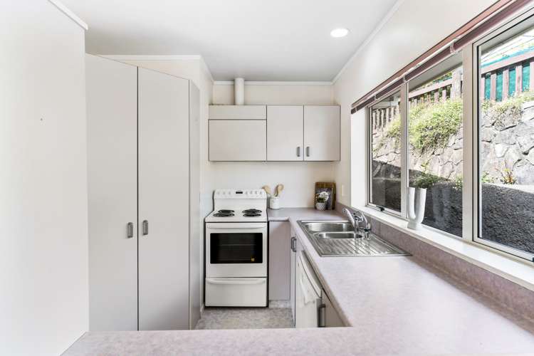 45a Harrier Street Parkvale_5