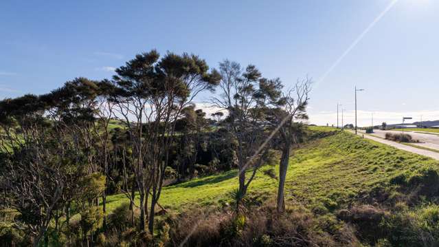 Lot 380 Rangitahi Peninsula Raglan_3